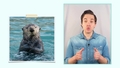 Thumbnail for Read about animals video