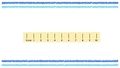 Thumbnail for Measure using a centimeter ruler video