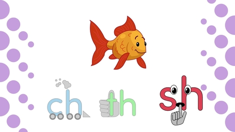 Choose the correct digraph