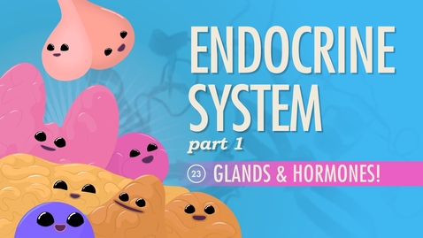 Thumbnail for Endocrine System - Glands &amp; Hormones