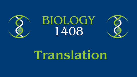 Thumbnail for Translation