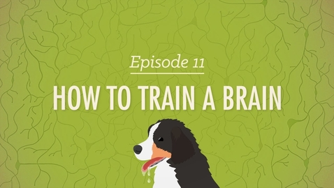 Thumbnail for How to Train a Brain: Crash Course Psychology #11