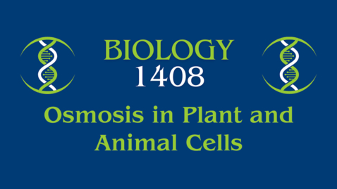 Thumbnail for Lab: Osmosis in plant and animal cells