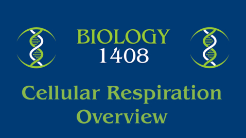 Thumbnail for Cellular Respiration Overview