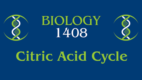 Thumbnail for Citric Acid Cycle