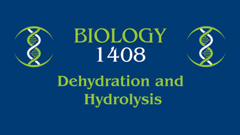 Thumbnail for Lab: Dehydration and Hydrolysis