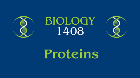 Thumbnail for Lab: Proteins  