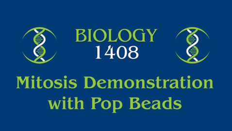 Thumbnail for Mitosis Demonstration with Pop Beads