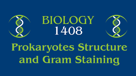 Thumbnail for Lab: Prokaryotes Structure and Gram Staining