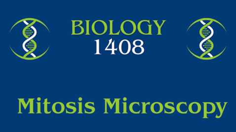 Thumbnail for Lab: Mitosis Microscopy