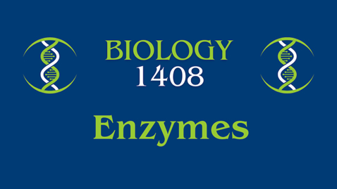 Thumbnail for Enzymes