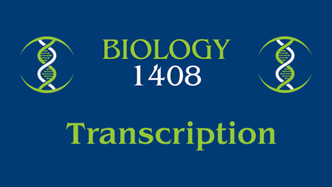 Thumbnail for Transcription