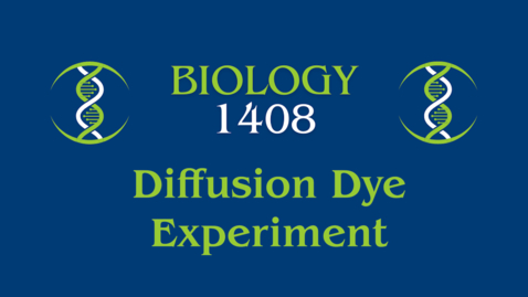 Thumbnail for Lab: Diffusion Dye Experiment