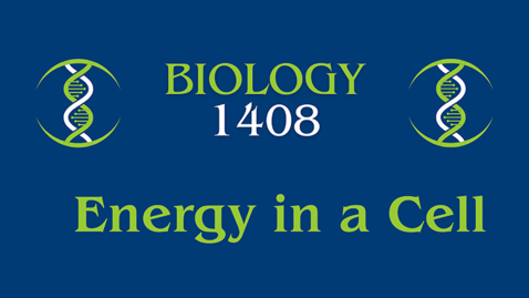 Thumbnail for Energy in a Cell