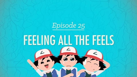 Thumbnail for Feeling All the Feels