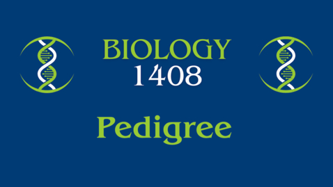 Thumbnail for Lab: Pedigree