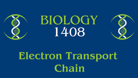Thumbnail for Electron Transport Chain