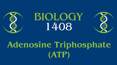 Thumbnail for Adenosine Triphosphate (ATP) 