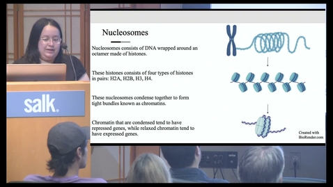 Thumbnail for Xena Duarte – Investigating Nucleosome Dynamics using DNA Origami
