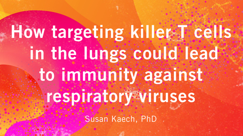 Thumbnail for entry How targeting killer T cells in the lungs could lead to immunity against respiratory viruses