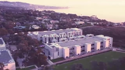 Thumbnail for Salk’s Year of Brain Health Panel