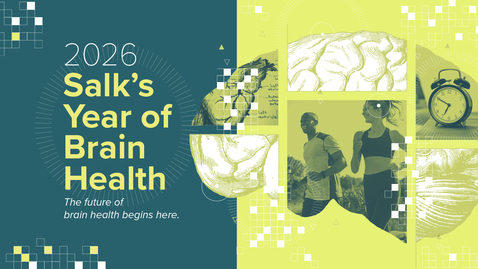 Thumbnail for Salk’s Year of Brain Health Panel