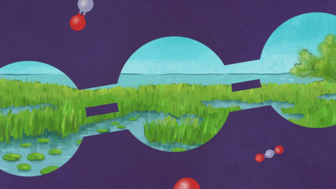 Thumbnail for Professor and Director  Jack H. Skirball Center for Chemical Biology and Proteomics Joseph Noel - Podcast Season 2