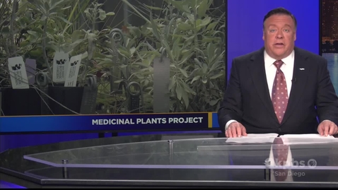 Thumbnail for Medicinal Plants Project