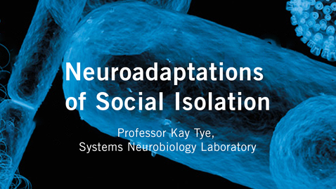 Thumbnail for Neuroadaptations of Social Isolation - Professor Kay Tye, Systems Neurobiology Laboratory