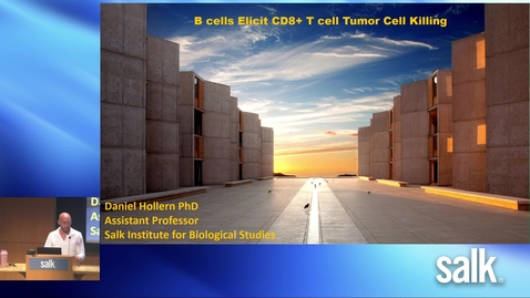 Thumbnail for Dan Hollern - B cells Elicit CD8+ T cell Tumor Cell Killing