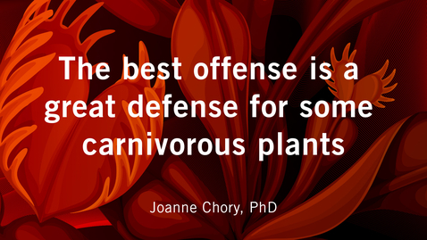 Thumbnail for The best offense is a great defense for some carnivorous plants