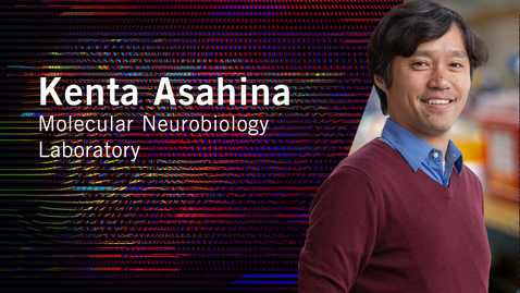 Thumbnail for entry Meet Our Scientists | Associate Professor Kenta Asahina