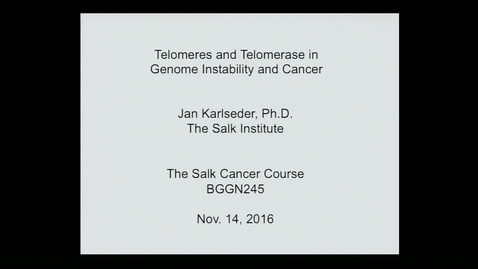 Thumbnail for Jan Karlseder – Telomeres and Telomerase in Genome Instability and Cancer