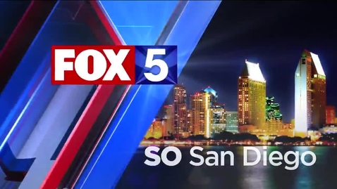 Thumbnail for Using AI for neuroscience: digital twins