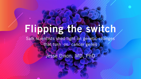 Thumbnail for entry Flipping the switch - Salk scientists shed light on genetic changes that turn  on  cancer genes