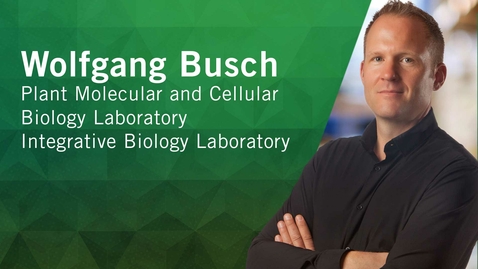 Thumbnail for From Then to When | Meet Salk Scientists | Wolfgang Busch