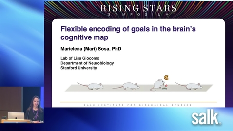 Thumbnail for entry Marielena Sosa – Flexible encoding of goals in the brain’s cognitive map
