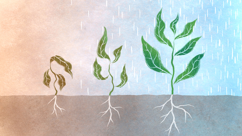 Thumbnail for Beyond Lab Walls | Natanella Illouz Eliaz