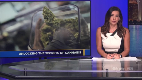 Thumbnail for Unlocking the secrets of cannabis