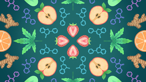 Thumbnail for Beyond Lab Walls - Pamela Maher