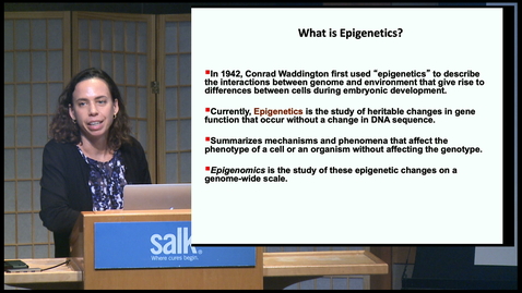 Thumbnail for Dianna Hargreaves - The Epigenetics of Cancer