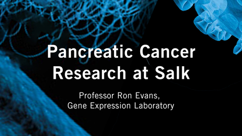 Thumbnail for Pancreatic Cancer Research at Salk  - Professor Ron Evans, Gene Expression Laboratory