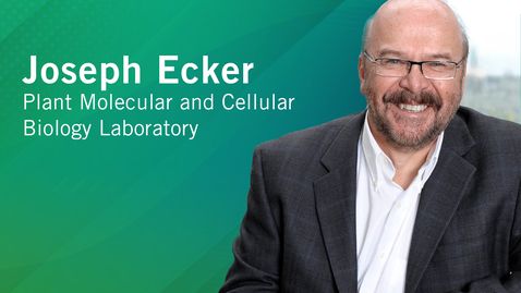 Thumbnail for From Then to When | Meet Salk Scientists | Joe Ecker