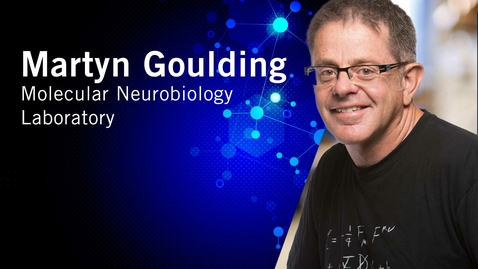 Thumbnail for From Then to When | Meet Salk Scientists | Martyn Goulding