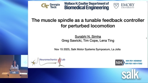 Thumbnail for Surabhi Simha - The muscle spindle behaves as a tunable feedback controller during perturbed locomotion