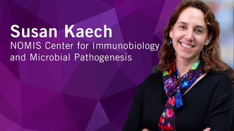 Thumbnail for From Then to When | Meet Salk Scientists | Susan Kaech 