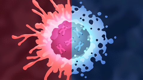 Thumbnail for Beyond-Lab-Walls-Laura-Mainz