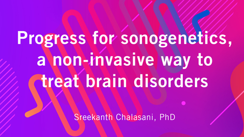 Thumbnail for entry Progress for sonogenetics, a non-invasive way to treat brain disorders