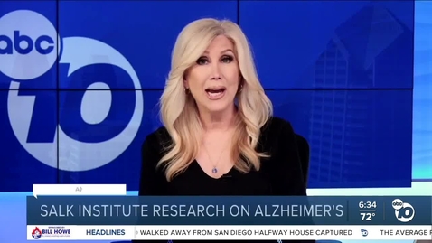 Thumbnail for Salk Institute research on Alzheimer's