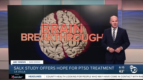 Thumbnail for Sung Han on ABC 10 News: Salk Study Offers Hope for PTSD Treatments